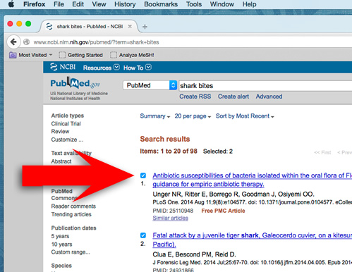 Screenshot showing PubMed records being selected